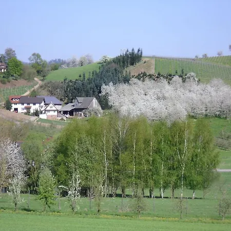 Ferienwohnung Am Weinberg Oberkirch  Exterior photo