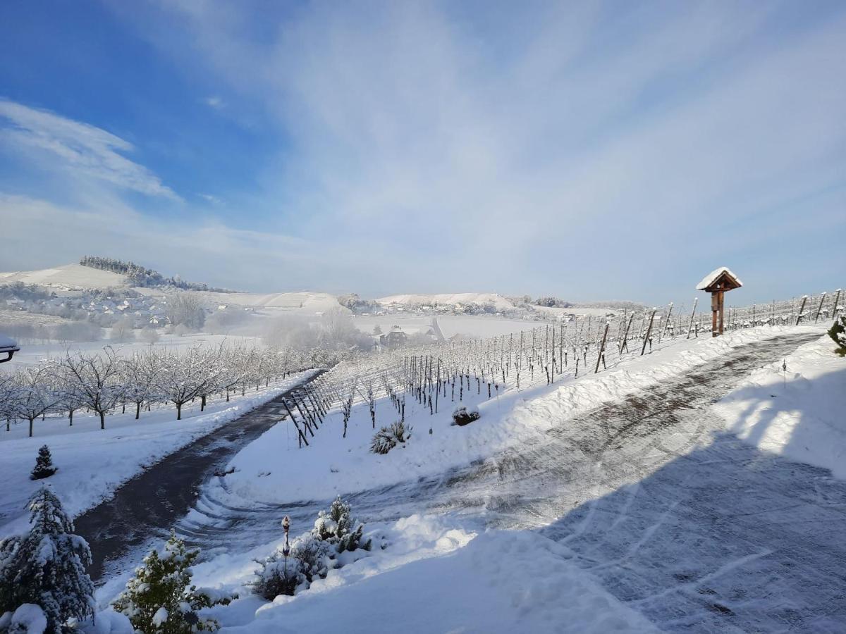 Am Weinberg Oberkirch (Baden)