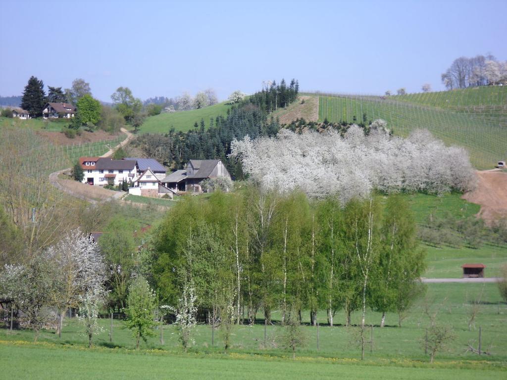 Am Weinberg Appartement